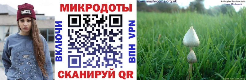 Галлюциногенные грибы ЛСД  что такое   Екатеринбург 